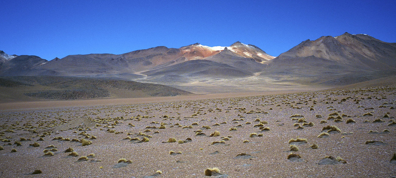 chi_7_24 cerro_colorado pano.jpg - Sud Lipez Cerro Colorado le plateau désertique dominé par une montagne colorée qui justifie son nom